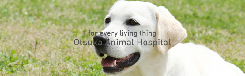 Otsuka Animal Hospital