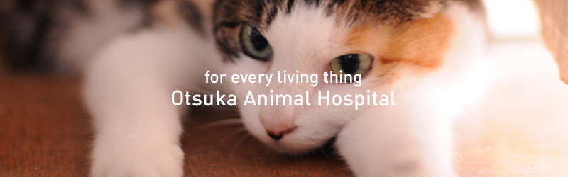 Otsuka Animal Hospital