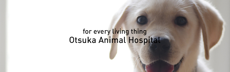 Otsuka Animal Hospital